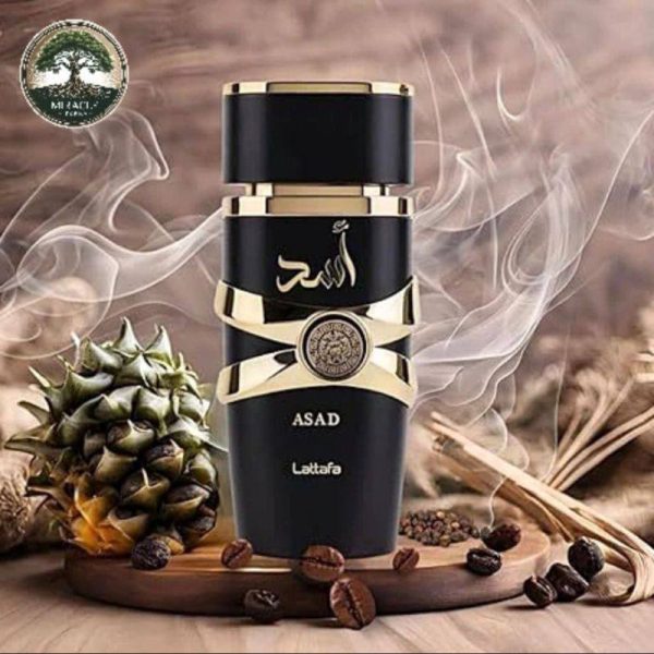 Asad чоловічі